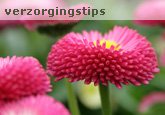 Verzorg Tips