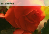Nieuws